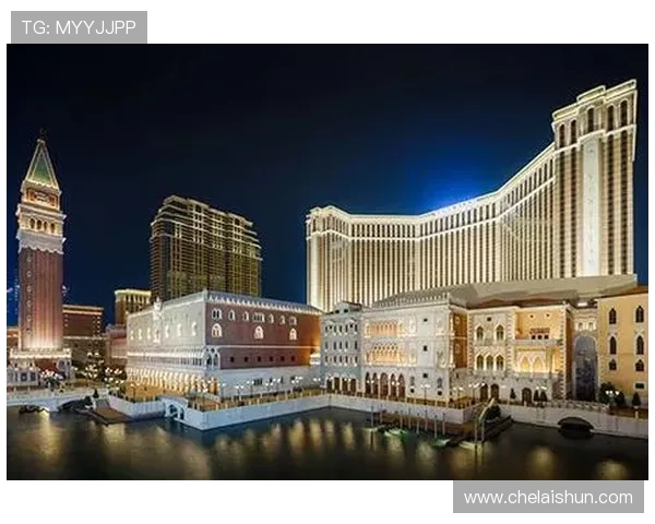 澳门巴黎人英文资料汇总，涵盖酒店英文名称、介绍及相关旅游常用英语表达